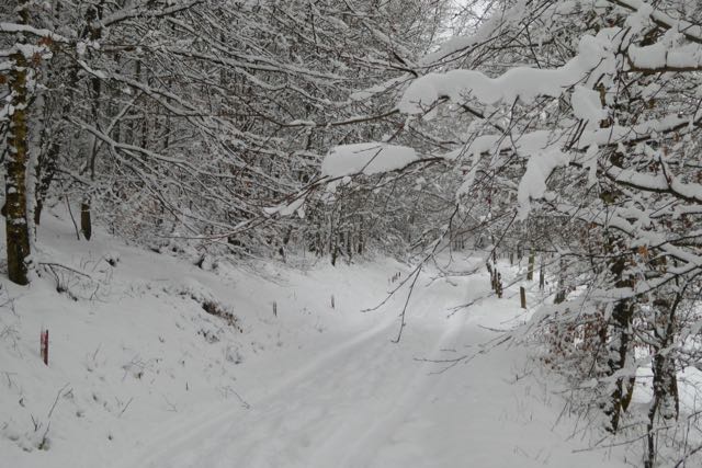 Wanderwege am Ischeroth, auch im Winter ein wunderbares Naturerlebnis
